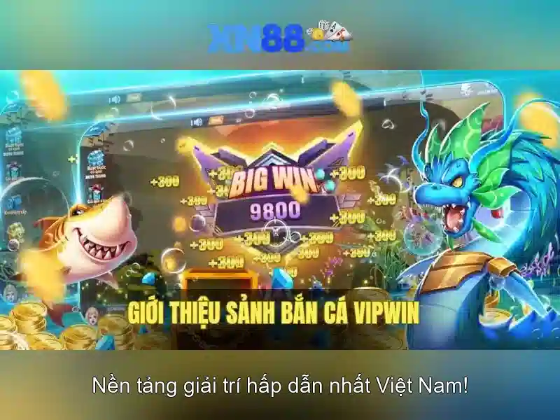 Giới thiệu về xn88