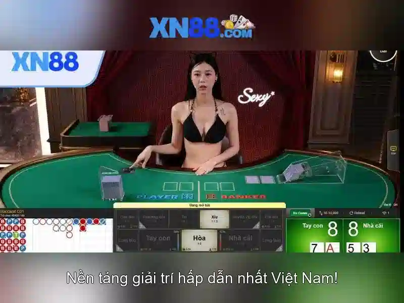 Hỗ trợ và cộng đồng
