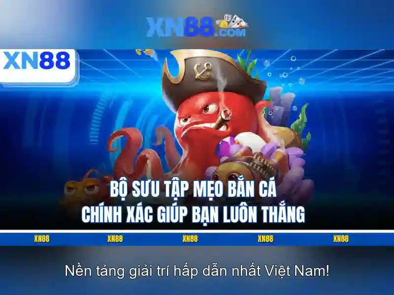 Xn88: Nền tảng số và hành trình đổi mới