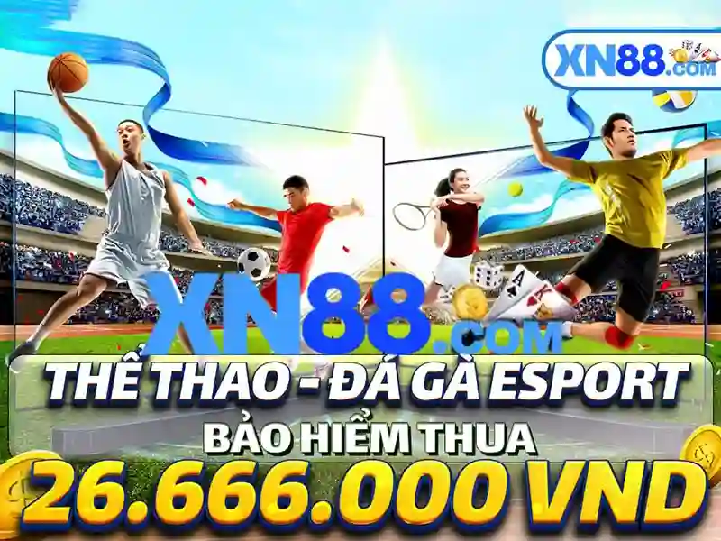 Hỗ trợ khách hàng và dịch vụ