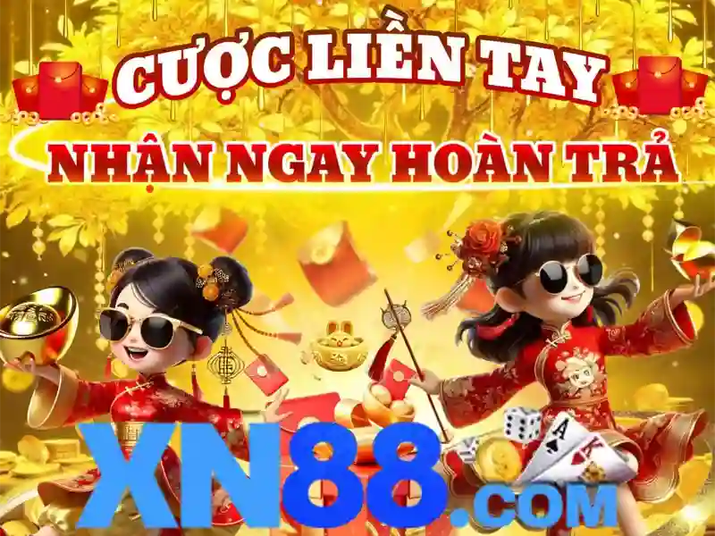 xn88 là gì
