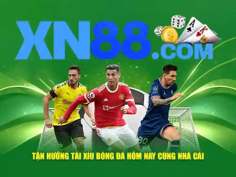 Xn88 là gì?