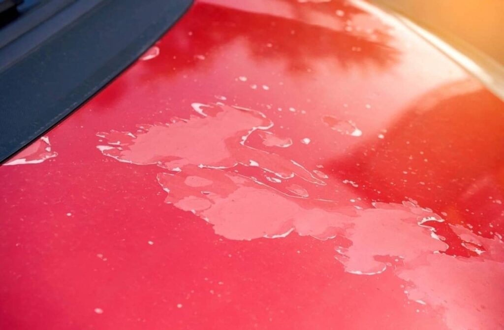 automotive clear coat repair